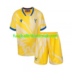 Fußballtrikots Crystal Palace Kinder 2024-2025 Kurzarm Auswärts-trikot kaufen